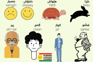 Kurdish adjectives